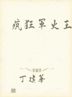 疯狂军火王封面