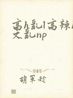 高h乱l高辣h文乱np