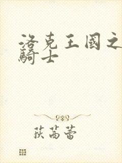 洛克王国之圣龙骑士封面