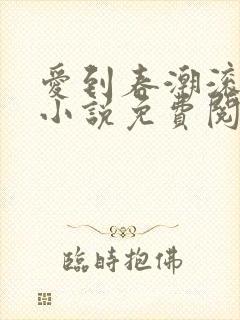 爱到春潮滚滚来小说免费阅读