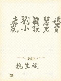 老刘日儿媳妇张岚小说免费阅读封面