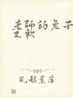 老师的兔子又大又软