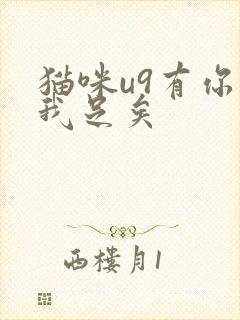 猫咪u9有你有我足矣