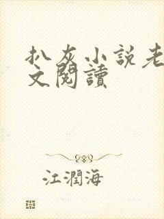 扒灰小说老马全文阅读封面