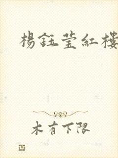 杨钰莹红楼封面