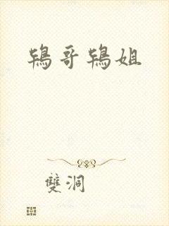 鸨哥鸨姐封面
