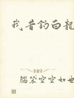 我昔钓白龙封面