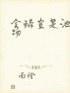 金鳞岂是池中之物封面