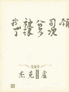 我被公司领导C了很多次