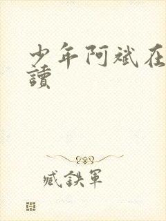 少年阿斌在线阅读