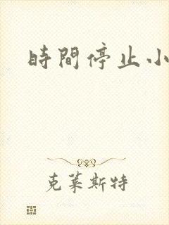 时间停止小说