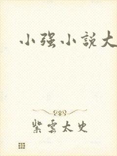 小强小说大全封面