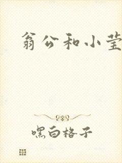 翁公和小莹