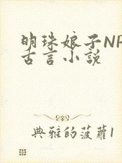 明珠娘子NPC古言小说