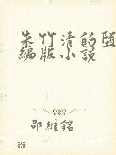 朱竹清的堕落改编版小说封面