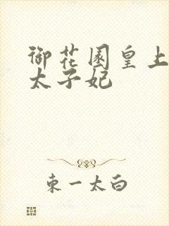 御花园皇上撞着太子妃封面