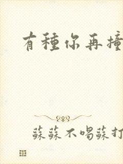 有种你再撞一下