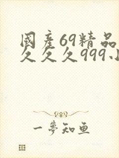 国产69精品久久久久999小说