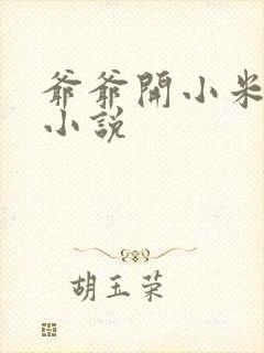 爷爷开小米的包小说