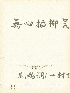 无心插柳吴悠封面