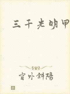 三千光明甲封面