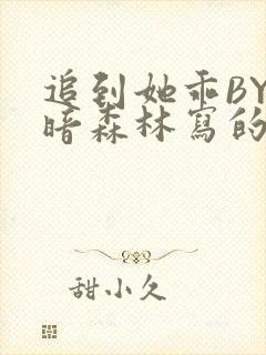 追到她乖BY黑暗森林写的小说