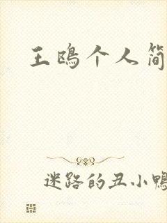 王鸥个人简介封面