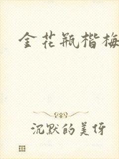 金花瓶楷梅花4封面