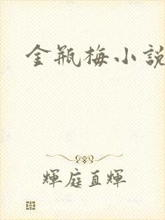 金瓶梅小说下载