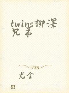 twins柳泽兄弟封面