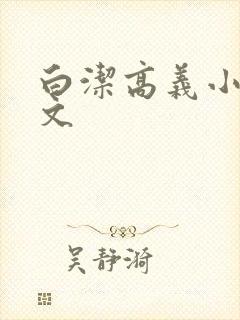 白洁高义小说全文