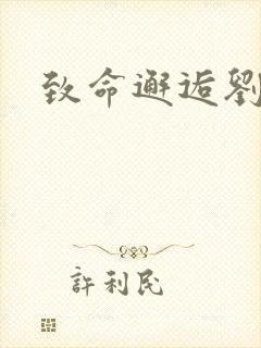 致命邂逅刘小寐