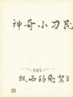 神奇小刁民