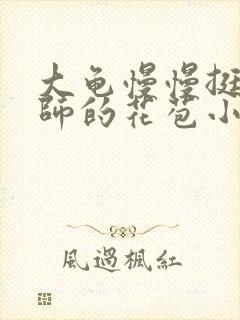 大龟慢慢挺进老师的花苞小说