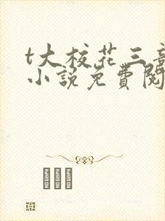 t大校花三部曲小说免费阅读全文