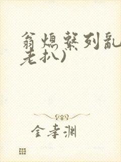 翁熄系列乱 (老扒)封面