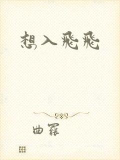 想入飞飞