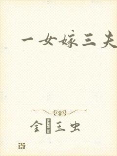 一女嫁三夫封面