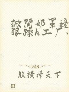 掀开奶罩边躁狠狠躁h工厂小说封面