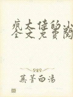 疯大佬的小玩物全文免费阅读小说