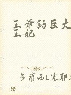 王爷的巨大进入王妃