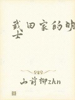 武田家的明国武士