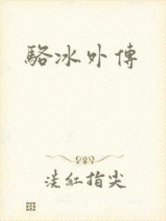骆冰外传封面