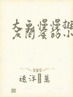 大龟慢慢挺进女友闺蜜的小说