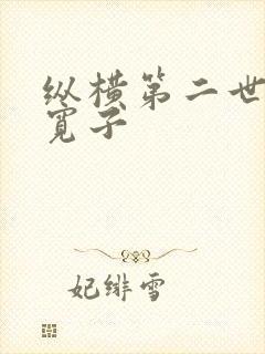 纵横第二世界 宽子