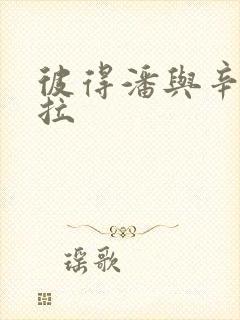 彼得潘与辛德瑞拉封面