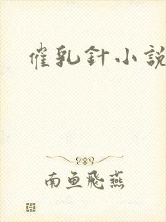催乳针小说