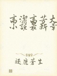 高洁高芳大团圆小说最新章节免费阅读