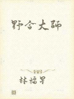 野合大师封面