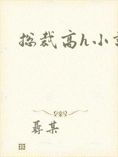 总裁高h小说封面